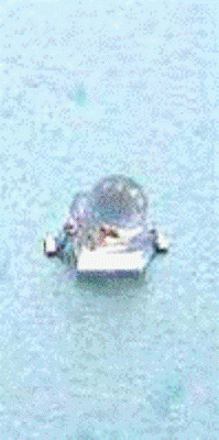 SMD Turuncu Gull Wing LED (95-21UYOC/S530-F7 RoHS)